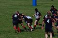 2007-06-09_15-28-50DSC_2889 Picture 70